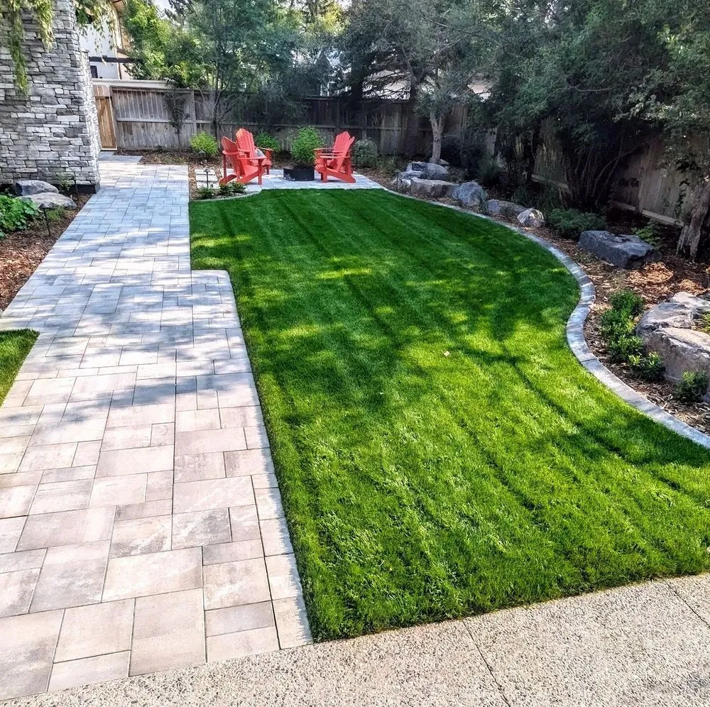 Top-rated lawn care service experts serving Jacksonville, FL - Tallyrand Lawn Care