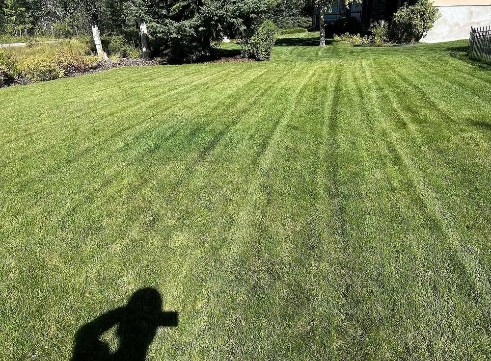 Affordable lawn care service for homes across Jacksonville, FL - Tallyrand Lawn Care