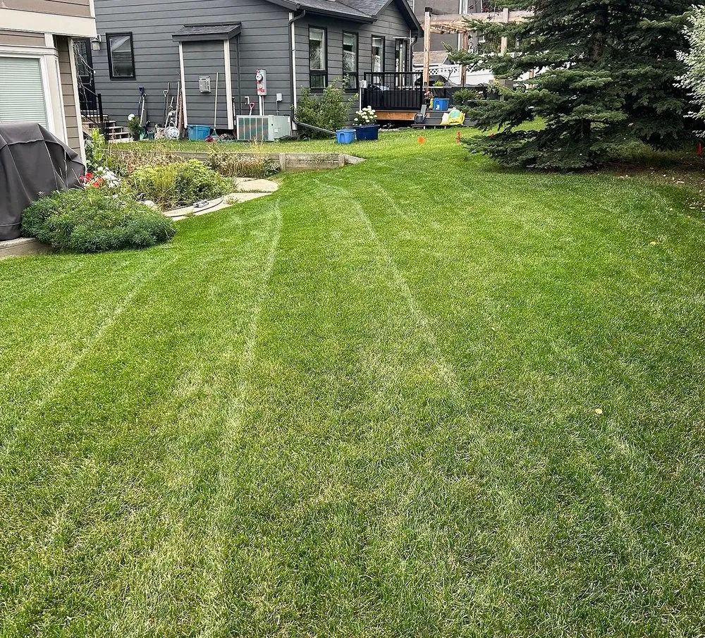 Affordable outdoor landscaping in Jacksonville, FL - Tallyrand Lawn Care