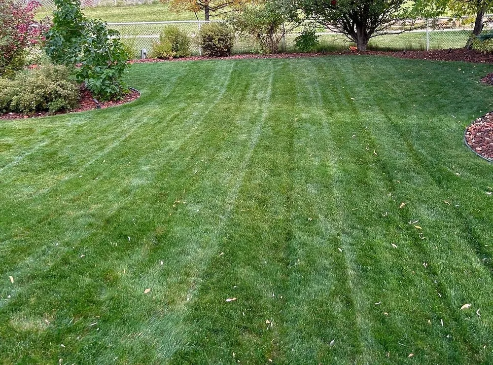 Trusted outdoor landscaping in Jacksonville, FL by Tallyrand Lawn Care