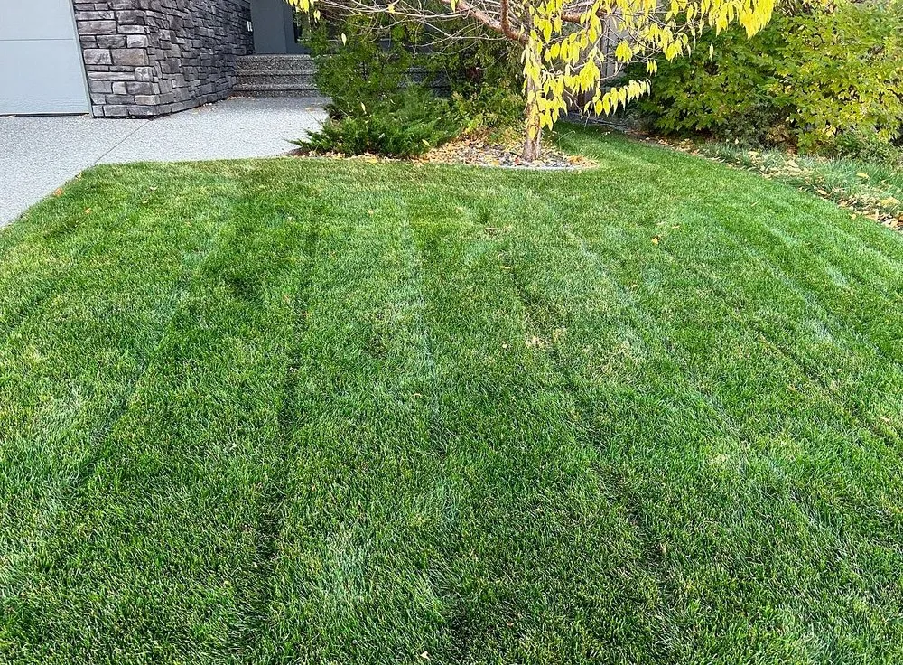 Reliable garden landscaping experts serving Jacksonville, FL - Tallyrand Lawn Care