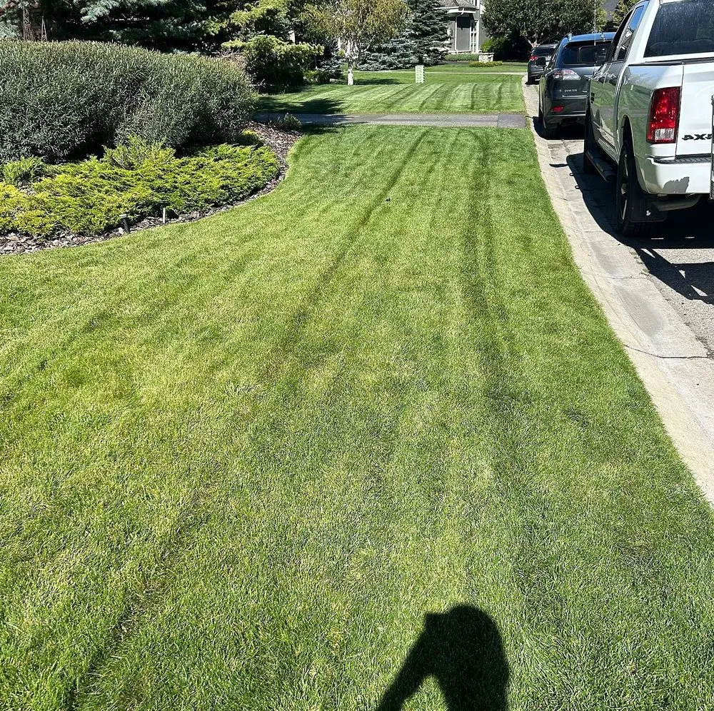 Local landscaping services in Jacksonville, FL - Tallyrand Lawn Care