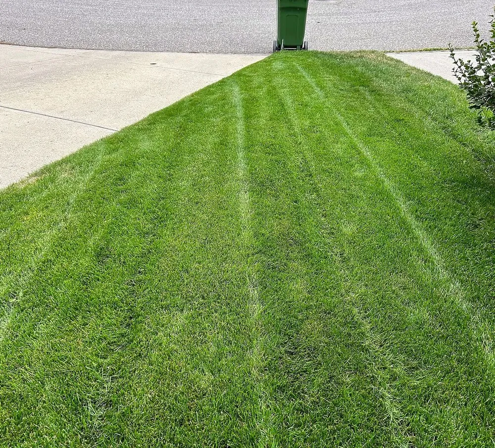 Local garden landscaping for outdoor upgrades across Jacksonville, FL - Tallyrand Lawn Care