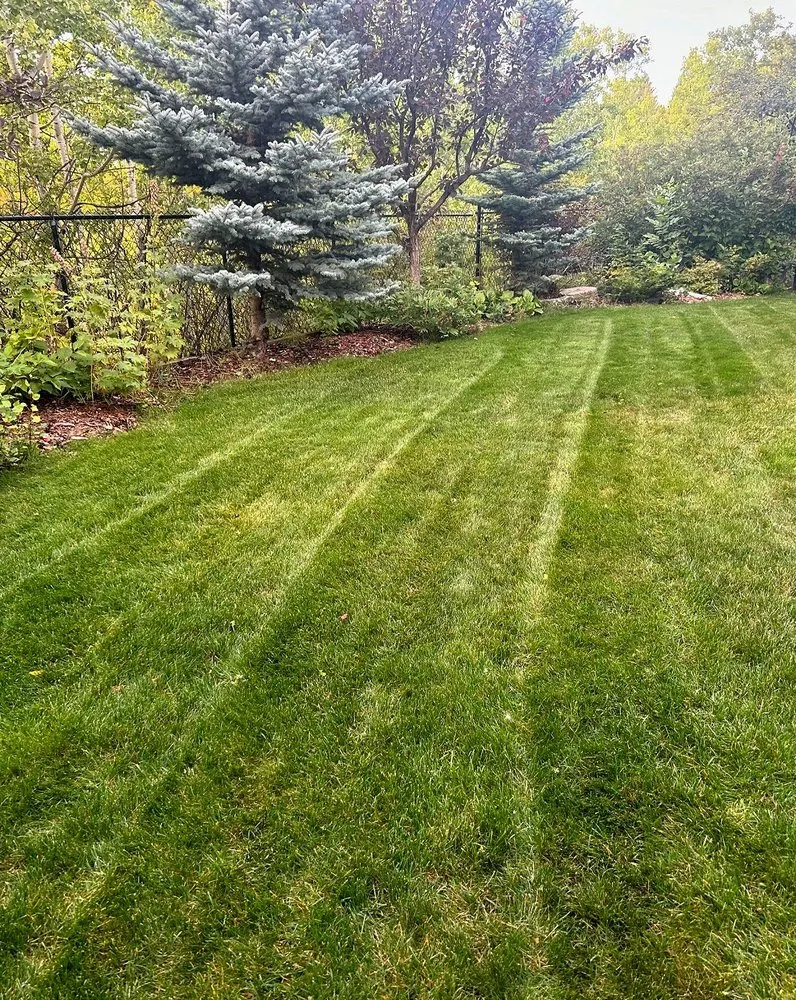 Local lawn care service near you in Jacksonville, FL by Tallyrand Lawn Care