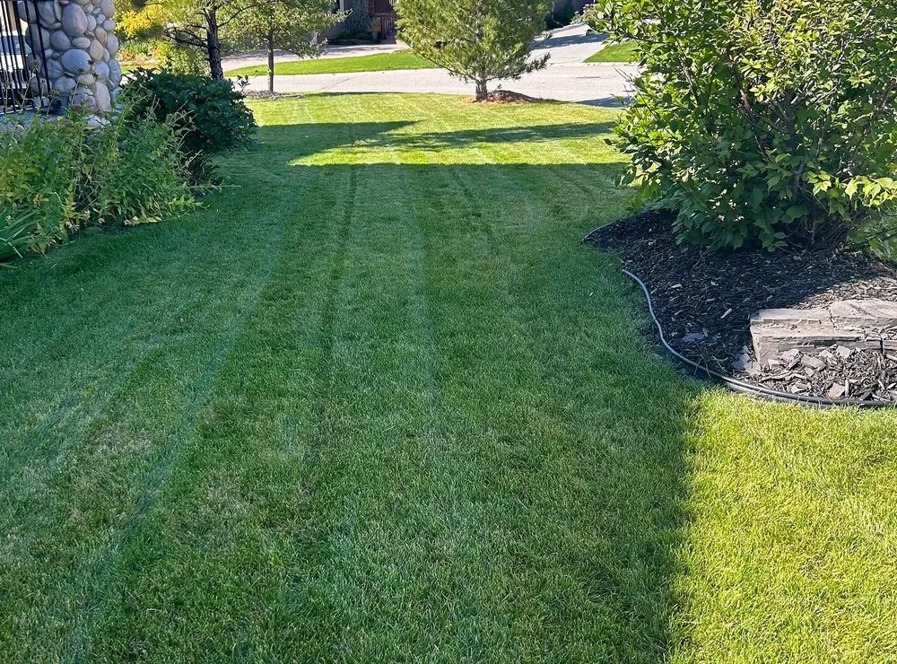 Local yard maintenance in Jacksonville, FL by Tallyrand Lawn Care