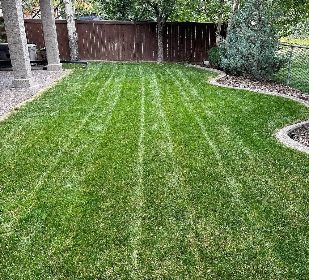 Affordable lawn care service in Jacksonville, FL by Tallyrand Lawn Care