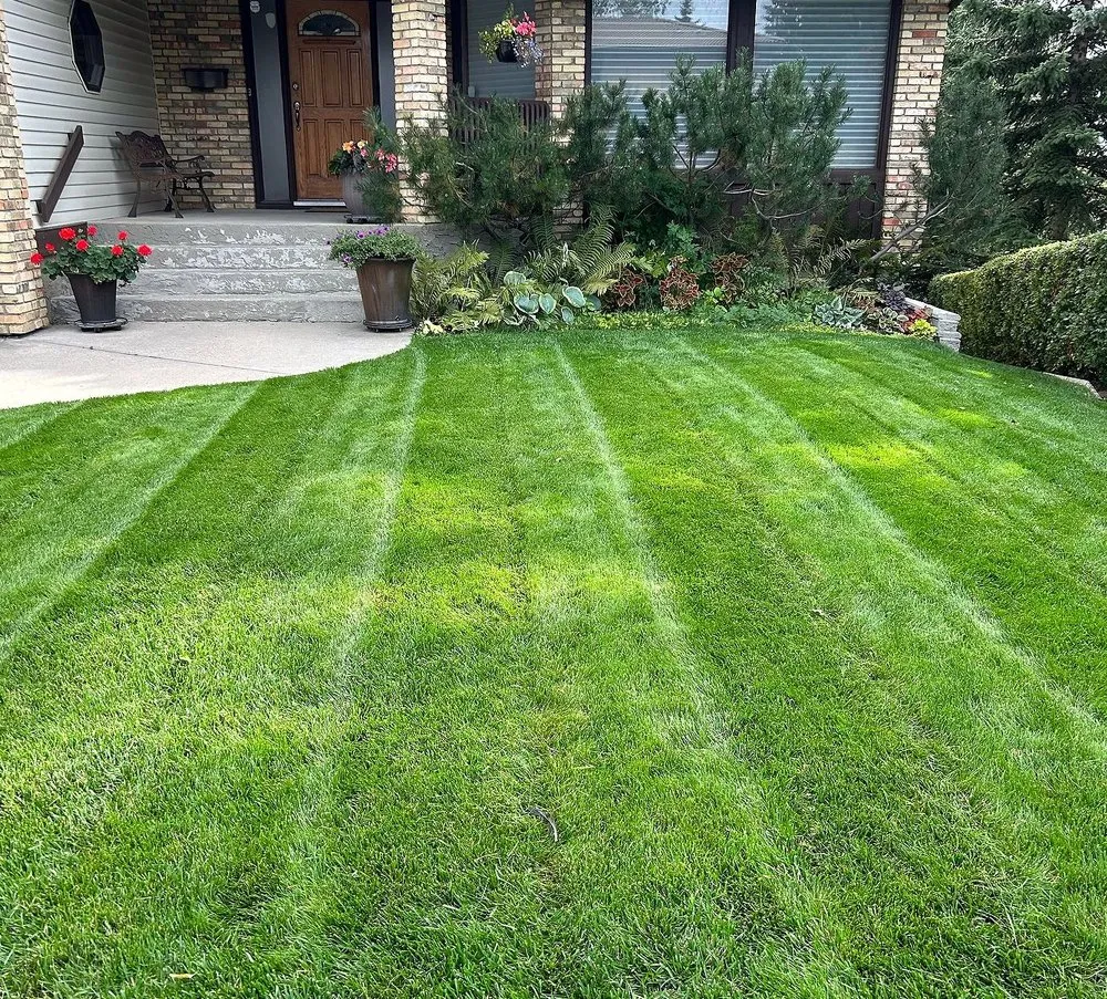 Local yard cleanup service in Jacksonville, FL - Tallyrand Lawn Care