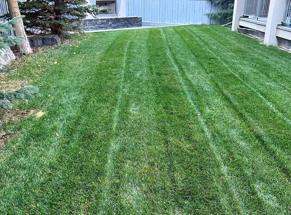 Custom landscaping services experts serving Jacksonville, FL - Tallyrand Lawn Care