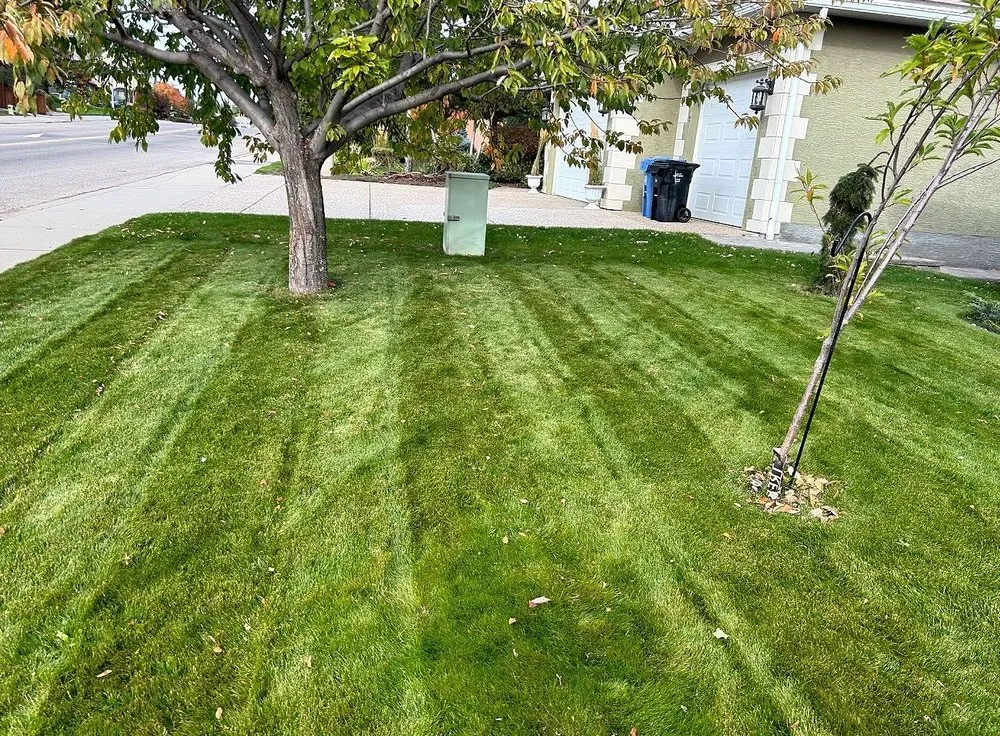 Trusted landscape design experts serving Jacksonville, FL - Tallyrand Lawn Care