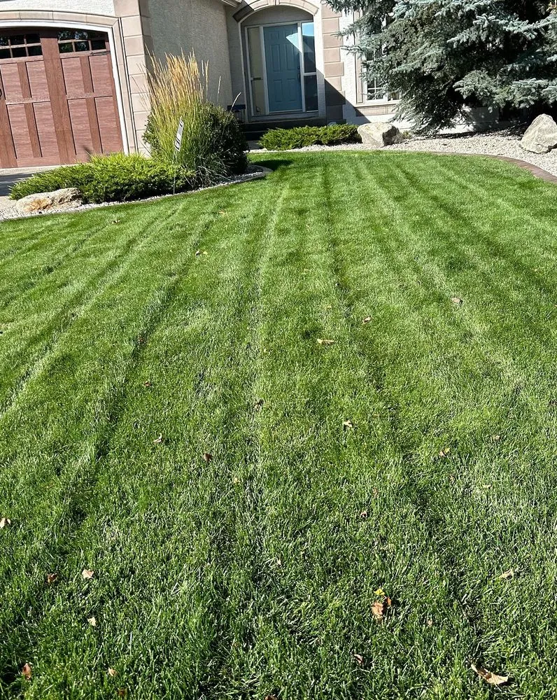 Affordable yard cleanup service experts serving Jacksonville, FL - Tallyrand Lawn Care