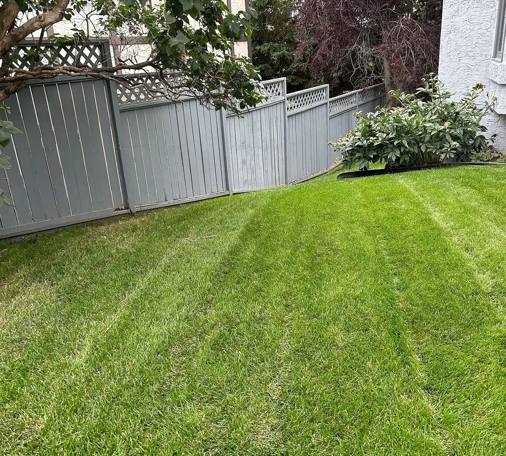 Custom garden landscaping experts serving Jacksonville, FL - Tallyrand Lawn Care