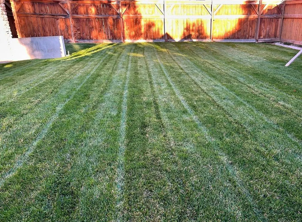 Expert lawn care service for beautiful yards across Jacksonville, FL - Tallyrand Lawn Care