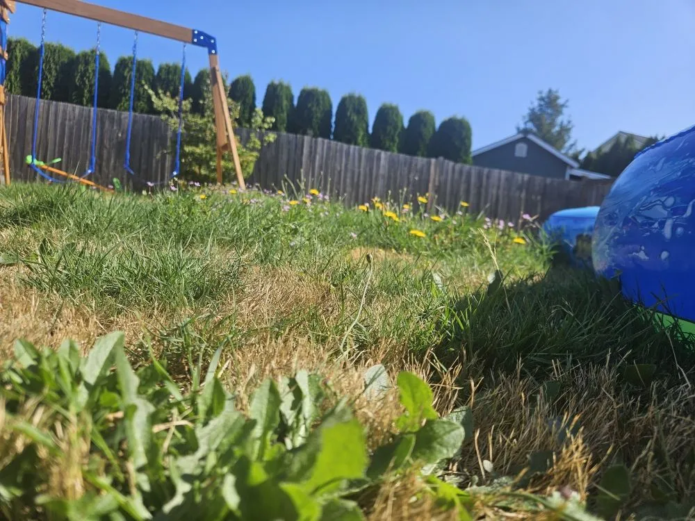 Local outdoor landscaping for outdoor upgrades in Bonney Lake, WA by TalofaGreen Landscaping