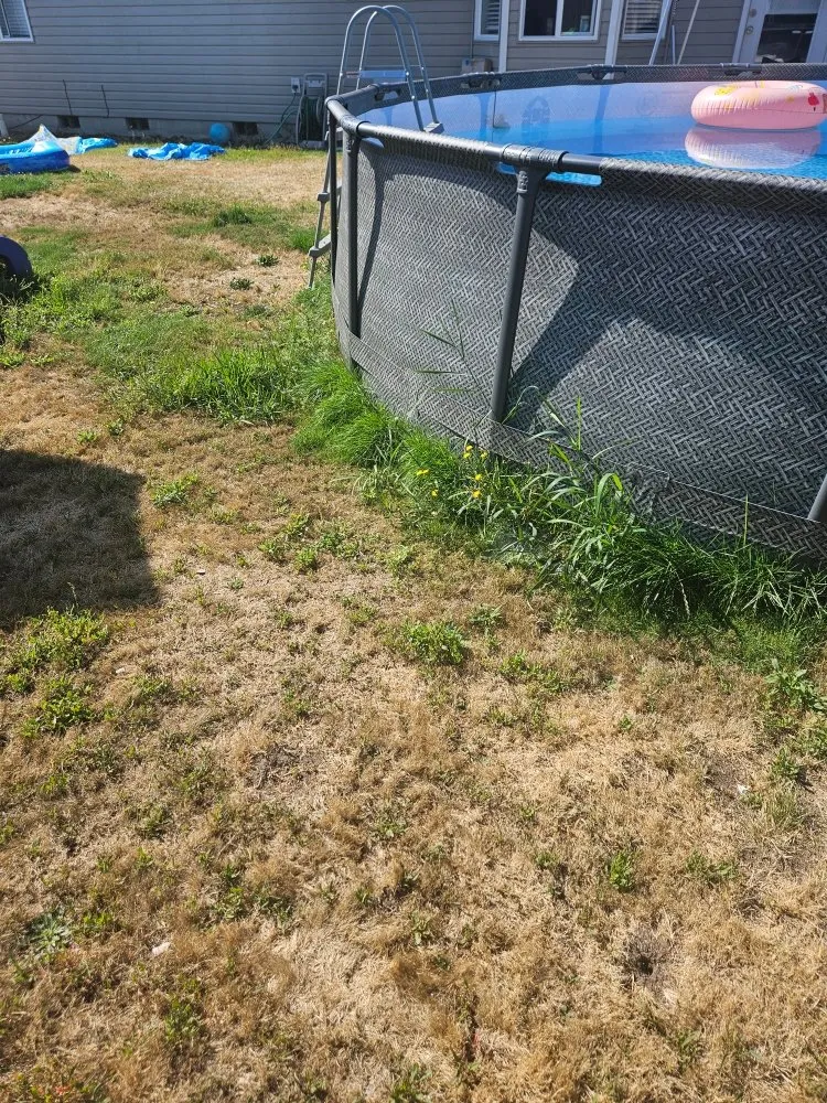 Expert garden landscaping in Bonney Lake, WA by TalofaGreen Landscaping