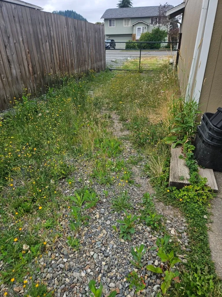 Affordable yard maintenance experts serving Bonney Lake, WA - TalofaGreen Landscaping