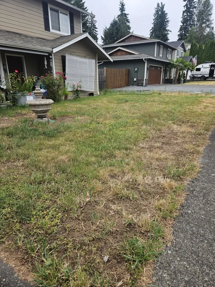 Custom landscape design in Bonney Lake, WA by TalofaGreen Landscaping