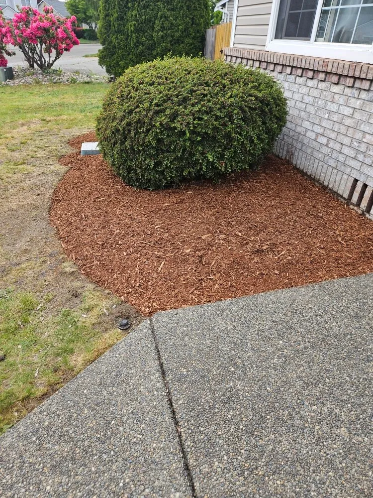 Trusted outdoor landscaping for outdoor upgrades in Bonney Lake, WA by TalofaGreen Landscaping