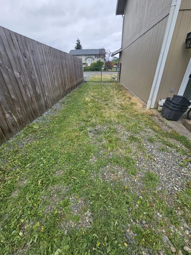 Top-rated landscaping services for residential properties across Bonney Lake, WA - TalofaGreen Landscaping