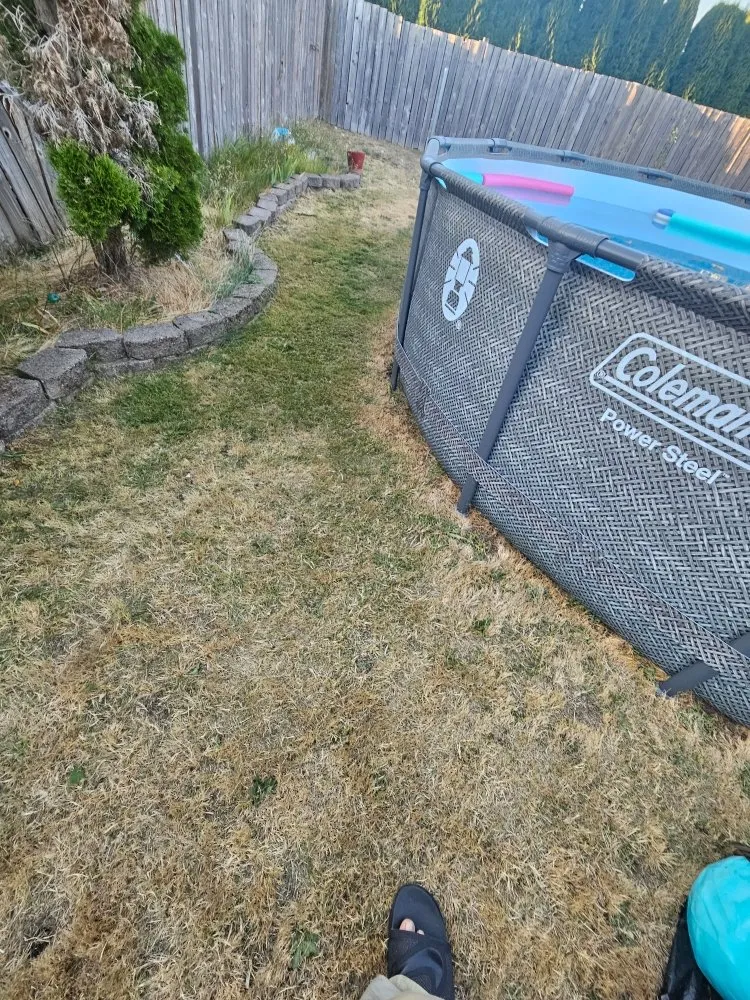 Professional yard cleanup service experts serving Bonney Lake, WA - TalofaGreen Landscaping