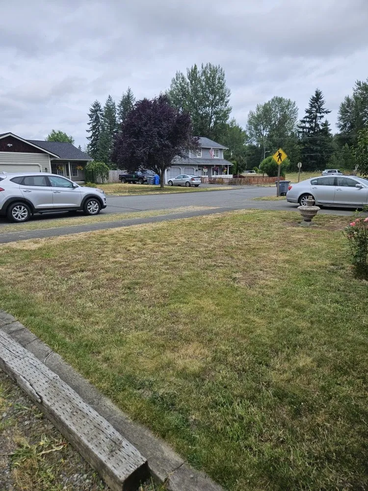 Top-rated residential landscaping in Bonney Lake, WA by TalofaGreen Landscaping