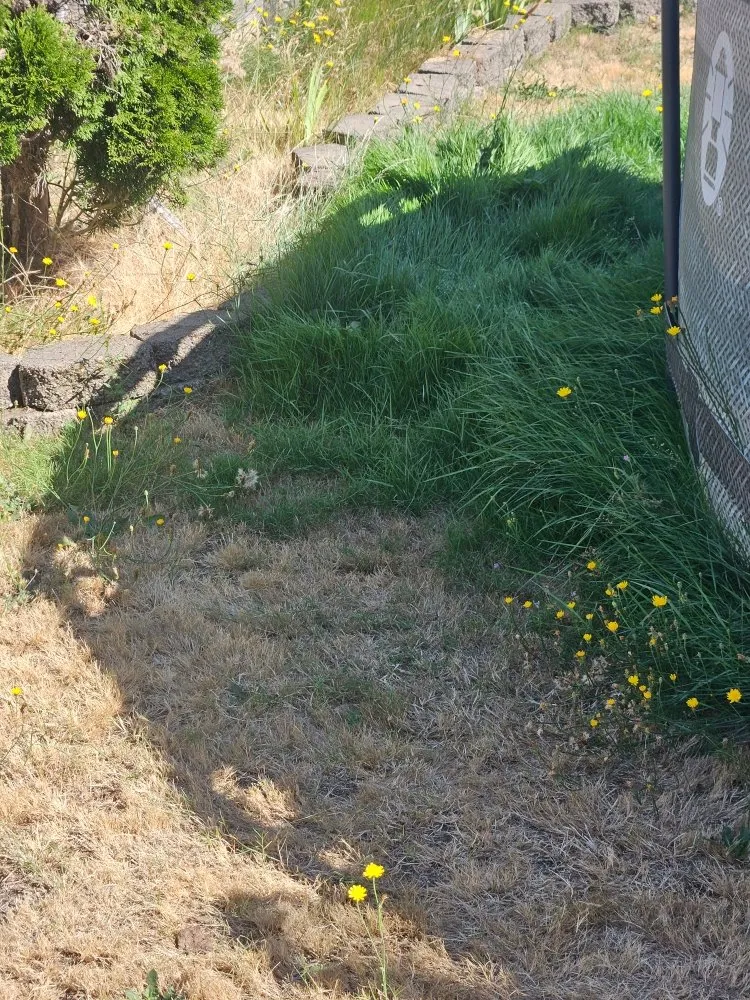 Expert garden landscaping in Bonney Lake, WA by TalofaGreen Landscaping