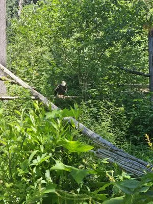 TalofaGreen Landscaping