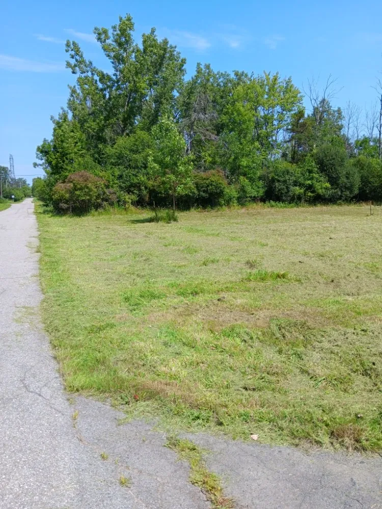 Affordable landscape design in Buffalo, NY - Talon Landscaping Construction & Demolition