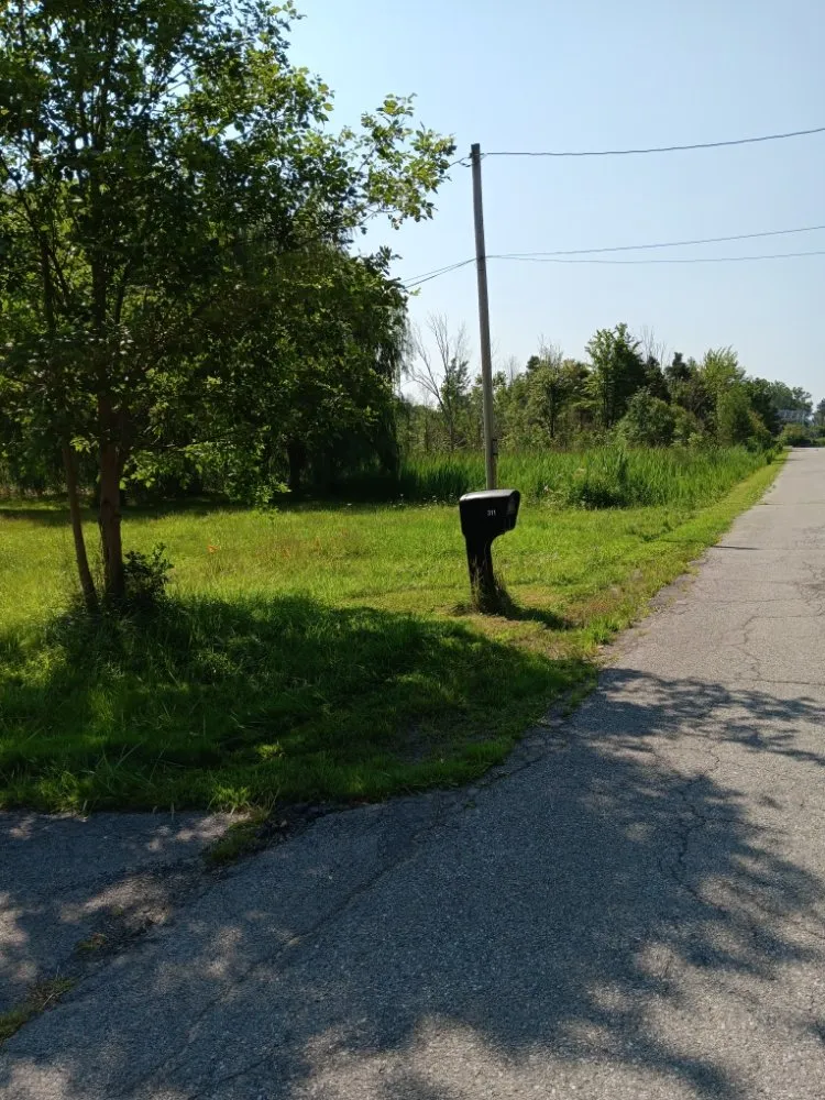 Affordable landscape installation for beautiful yards across Buffalo, NY - Talon Landscaping Construction & Demolition