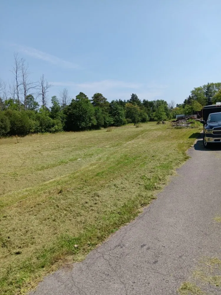 Expert lawn care service near you across Buffalo, NY - Talon Landscaping Construction & Demolition