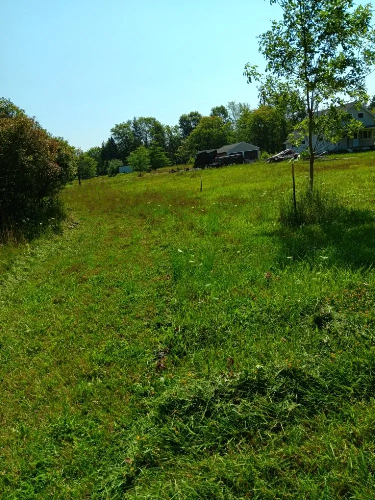 Custom outdoor landscaping in Buffalo, NY by Talon Landscaping Construction & Demolition