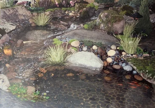 Local garden landscaping in Fresno, CA - Talons Landscape Development