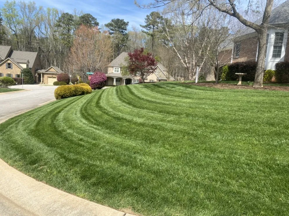 Top-rated landscaping services for year-round maintenance across Clayton, NC - Talton’s Landscaping and Lawn Care
