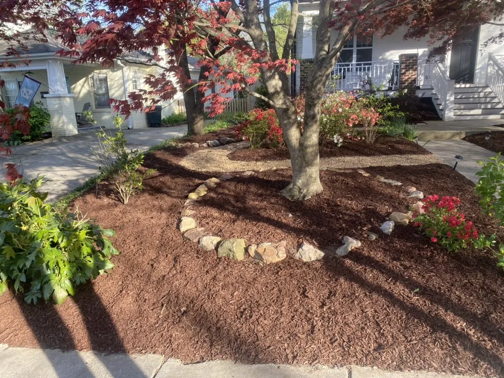 Expert yard cleanup service experts serving Clayton, NC - Talton’s Landscaping and Lawn Care