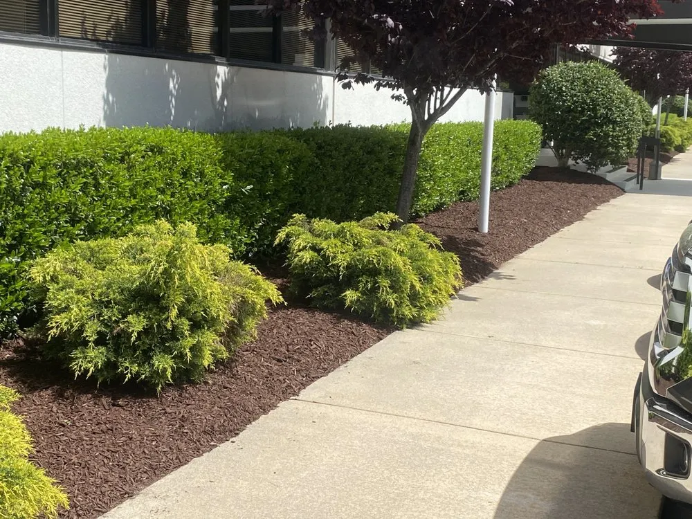 Local landscape design for beautiful yards in Clayton, NC by Talton’s Landscaping and Lawn Care