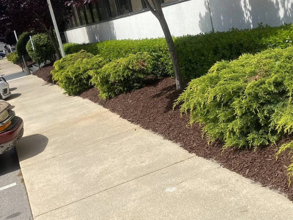 Top-rated outdoor landscaping with custom design in Clayton, NC by Talton’s Landscaping and Lawn Care