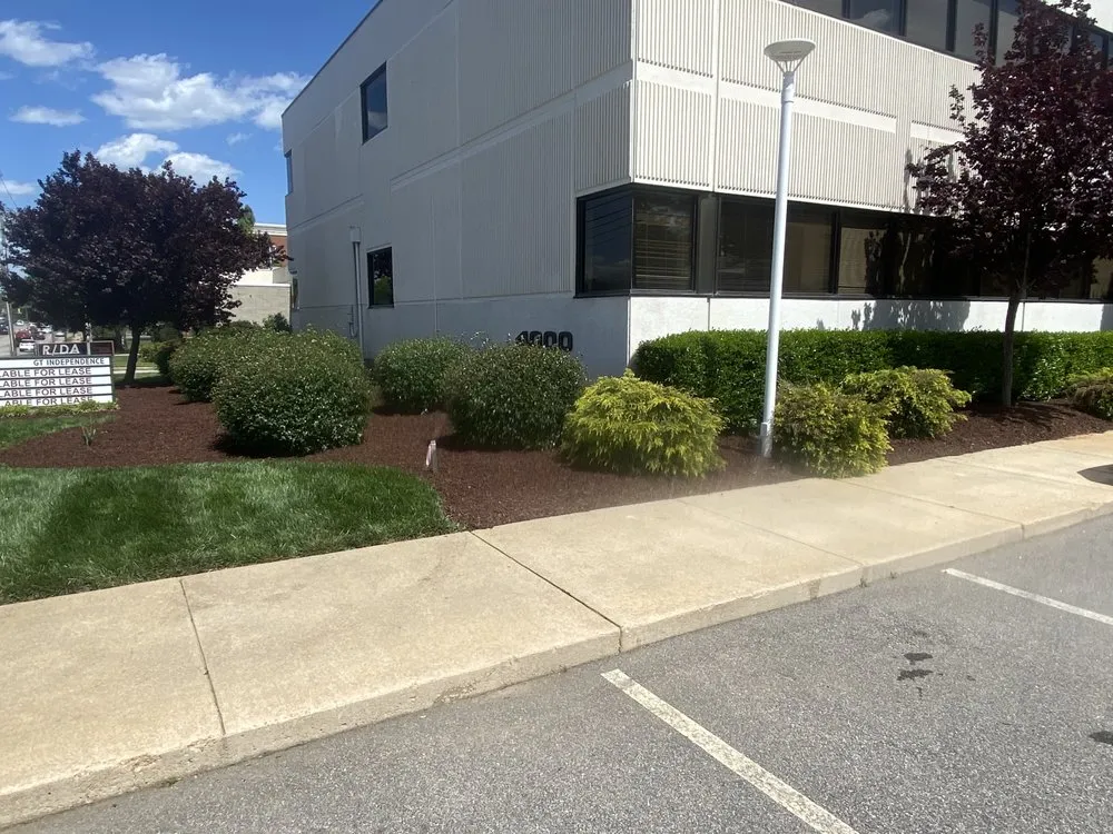 Custom yard cleanup service experts serving Clayton, NC - Talton’s Landscaping and Lawn Care