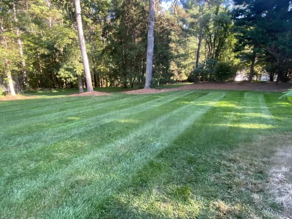 Top-rated landscape design experts serving Clayton, NC - Talton’s Landscaping and Lawn Care