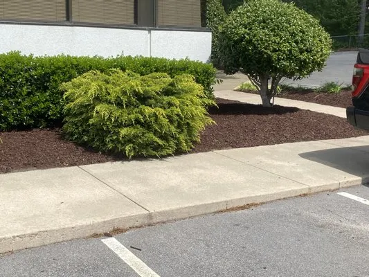 Talton’s Landscaping and Lawn Care Logo