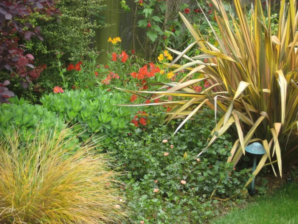 Local residential landscaping experts serving Oakland, CA - Tamar Carson Landscaping