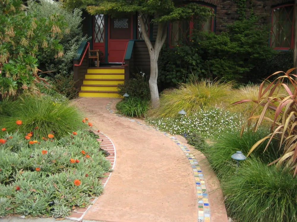 Professional yard maintenance experts serving Oakland, CA - Tamar Carson Landscaping