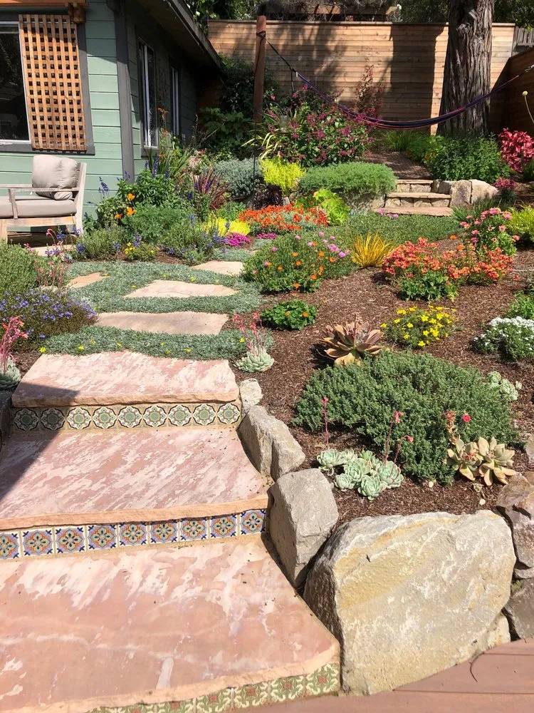 Affordable yard maintenance in Oakland, CA by Tamar Carson Landscaping