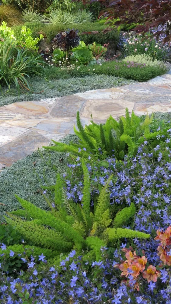 Trusted landscape design in Oakland, CA - Tamar Carson Landscaping