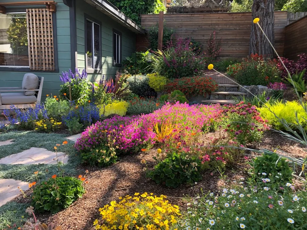 Reliable landscape installation for homes in Oakland, CA by Tamar Carson Landscaping