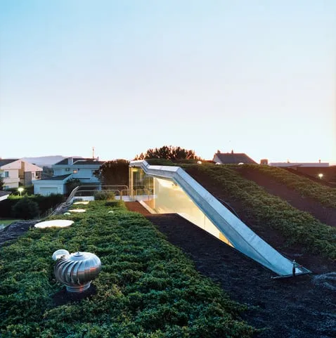 Local garden landscaping in Brooklyn, NY - Tamaris Landscape Design