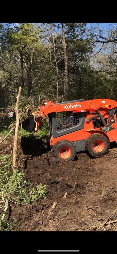 Expert residential landscaping for year-round maintenance across Houston, TX - Tamayo Transit