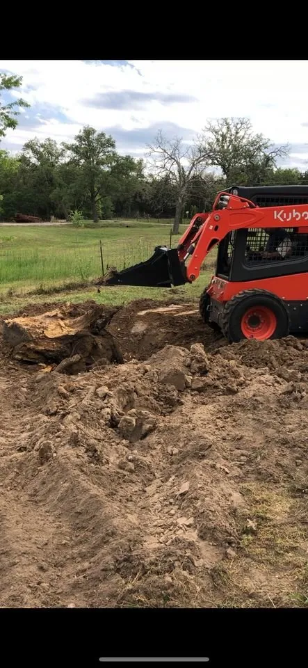 Affordable yard cleanup service in Houston, TX - Tamayo Transit