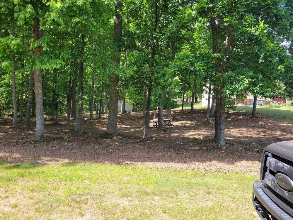 Expert landscape installation for beautiful yards across Fredericksburg, VA - Tamed Terrain