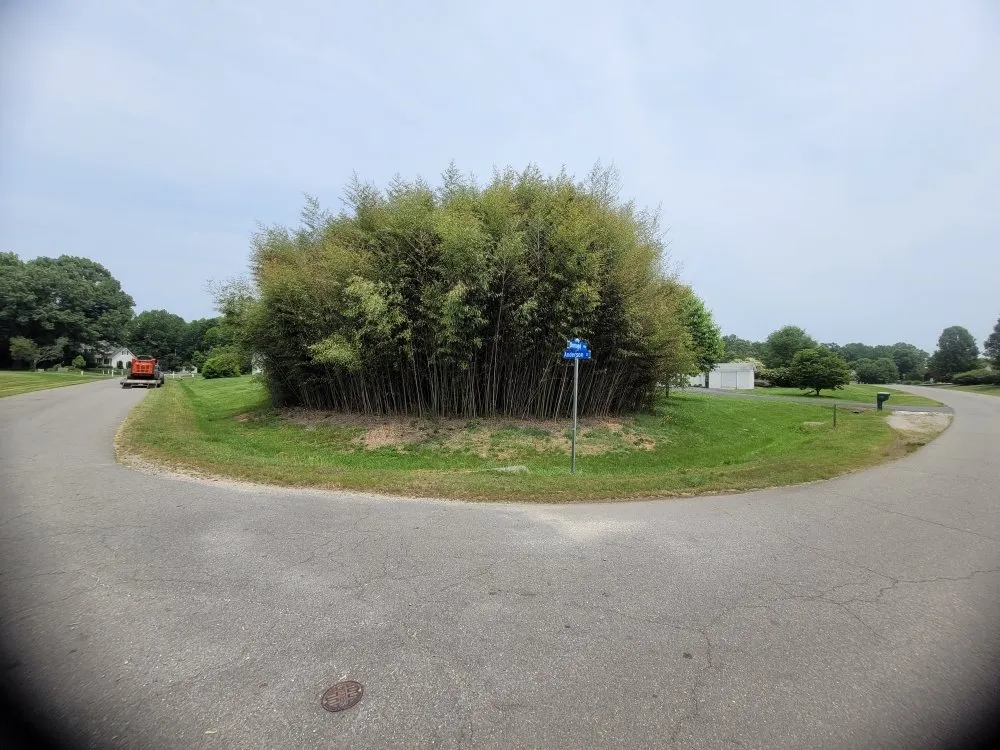 Reliable garden landscaping in Fredericksburg, VA by Tamed Terrain