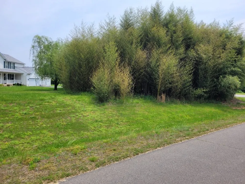 Expert landscape design with custom design across Fredericksburg, VA - Tamed Terrain