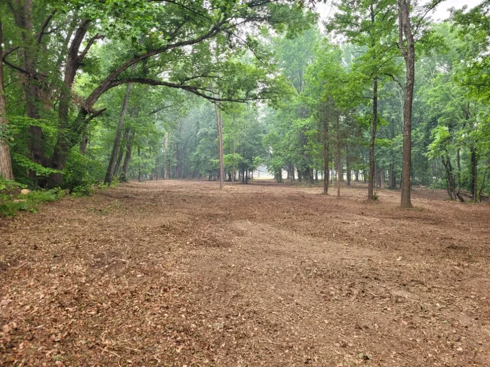 Expert lawn mowing service in Fredericksburg, VA by Tamed Terrain